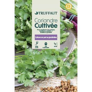 Graines de coriandre cultivée en sachet