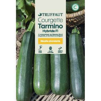 Graines de courgette tarmino Hybride F1 en sachet