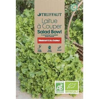 Graines de laitue salad'bowl Bio en sachet
