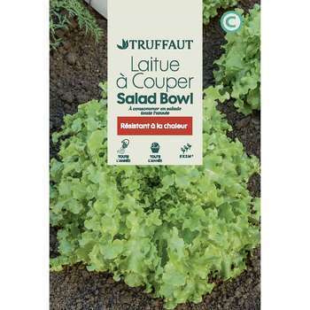Graines de laitue à couper Salad'Bowl en sachet
