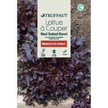 Graines de laitue à couper Red'Salad'Bowl en sache