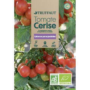 Graines de tomate cerise Bio en sachet