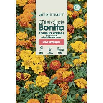 Oeillet d'inde bonita varié 1 g
