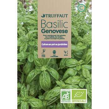 Graines de basilic Genovese Bio en sachet