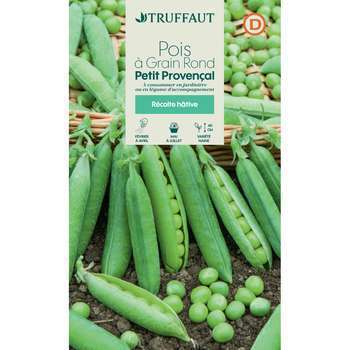 Graines de pois nain à grain rond petit provencal