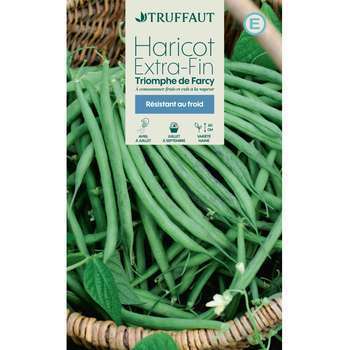 Graines de haricot nain extra-fin Triomphe de Farc