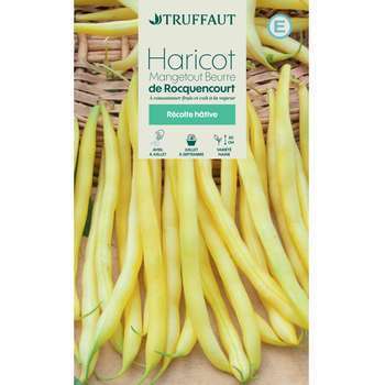Graines de haricot nain mangetout beurre de Rocque