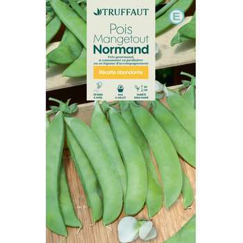 Graines de pois demi nain mangetout normand'en boi
