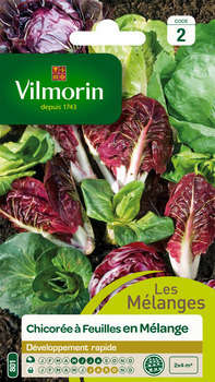 Graines de chicorée Sauvage en Mélange en sachet