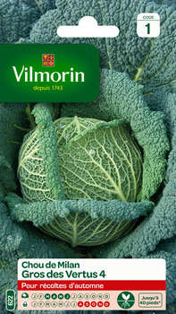 Graines de chou de Milan Gros des Vertus en sachet