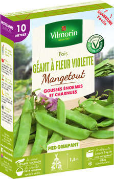 Graines de pois Mangetout Géant à Fleur Violette e