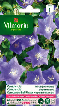 Campanule des Carpathes Bleue 0,5 g