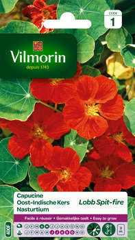 Capucine de Lobb Spit-fire 5 g