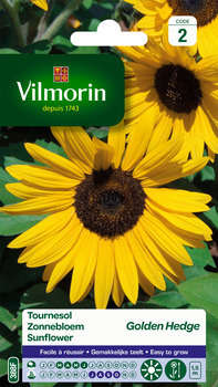 Tournesol Golden Hedge 3 g