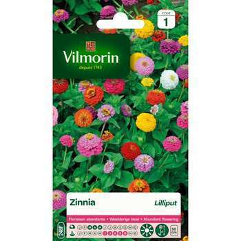 Vilmorin - Zinnia Lilliput