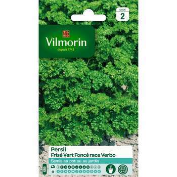 Graines de persil frisé vert foncé race verbo en s