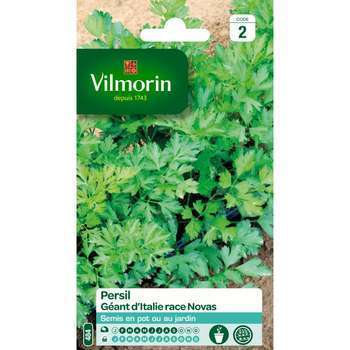Graines de persil géant d'Italie en sachet