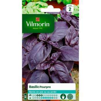 Graines de basilic pourpre en sachet