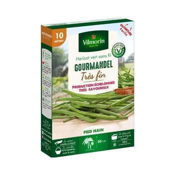Graines de haricot nain Vert Gourmandel - 10 M en