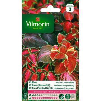 Coléus Arc-en-Ciel Amélioré 0,1 g