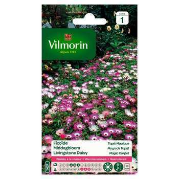 Ficoïde Tapis Magique 1 g