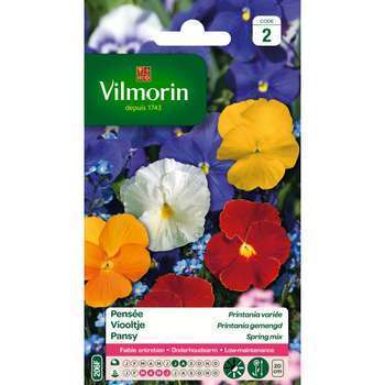 Pensée Printania Variée 0,4 g