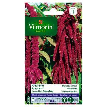 Amarante Queue de Renard 2 g