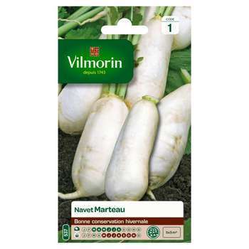 Graines de navet des Vertus Marteau en sachet