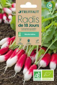 Graines de radis de 18 jours BIO