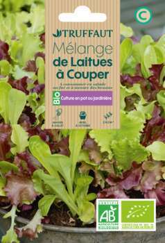 Graines de Laitues à Couper