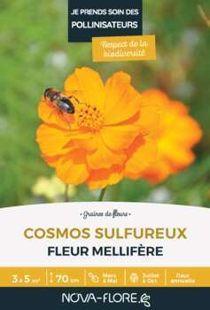 Cosmos Sulfureux