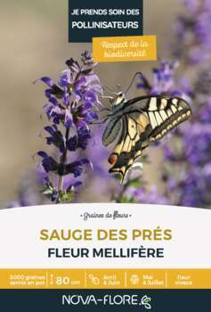 Sauge Des Pres
