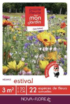 Tapis De Fleurs Estival 3M²