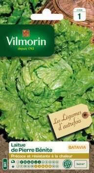 Laitue Batavia de Pierre Bénite 4 g