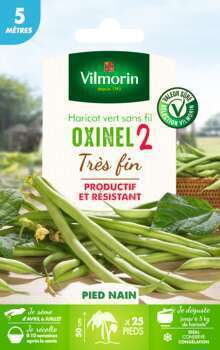 Haricot Nain Vert Oxinel 2 5 M