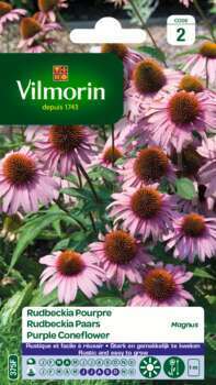 Rudbeckia Pourpre Magnus 1 g