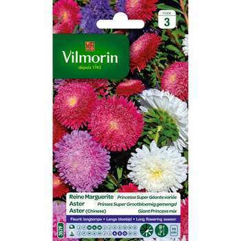 Reine-Marguerite Princesse Super Géante Variée 1,5