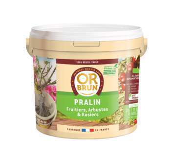 Fertilisant racinaire au pralin:seau de 2kg