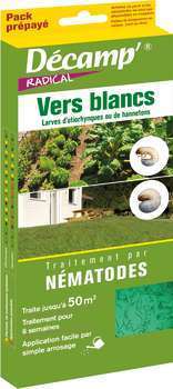 Nématodes contre les vers blancs