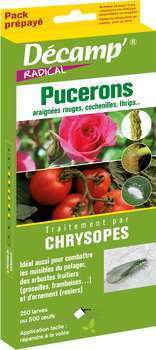 Chrysope contre les pucerons