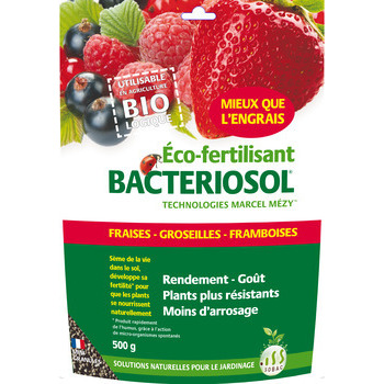 Bactériosol®: Fraises, groseilles, framboises