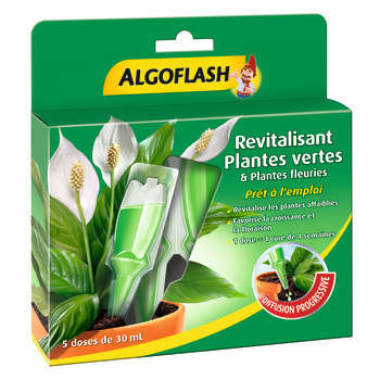 Monodose revitalisante plantes vertes & plantes fl