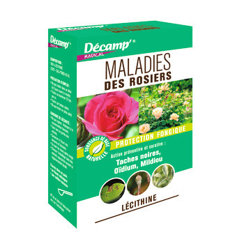 Fongicide de base: Rosiers