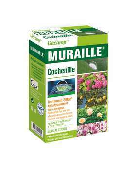 Muraille cochenilles