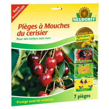 Pièges à mouches de la cerise : 7 pièges