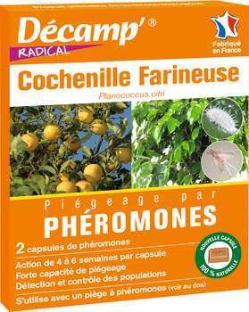 Phéromone contre les cochenilles farineuses