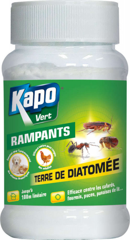 Terre de diatomée - 100g