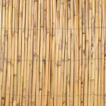 Canisse roseau fendu - 1,5x5m