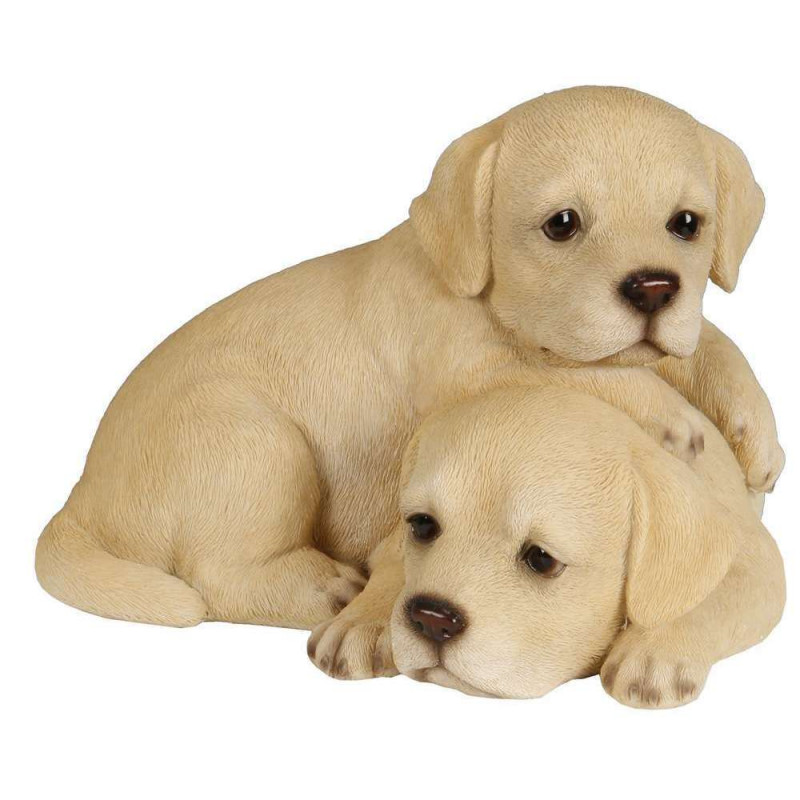 Statue en résine - Couple bébés labrador - 21cm