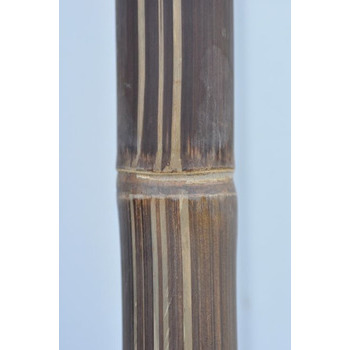 Tronçon de bambou naturel sec noir - D. 4xL200 cm
